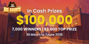 Big Bounty Challenge